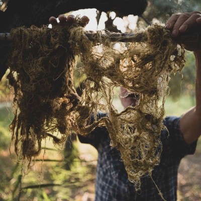 Fabbrica Tessile Bossio: dalla natura alla moda nel rispetto della tradizione calabrese