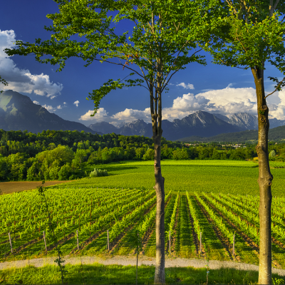 ApritiModa e il Prosecco DOC, eccellenze del "saper fare" italiano