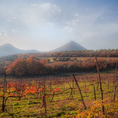 ApritiModa e il Prosecco DOC, eccellenza del “saper fare” italiano
