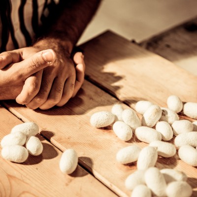 Moda Green: Ripensare all'ambiente attraverso la seta