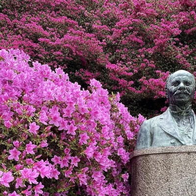 Moda Green: L'elogio ai rododendri della Burcina di Felice Piacenza